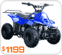 mini atv