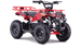 mini quad red flames